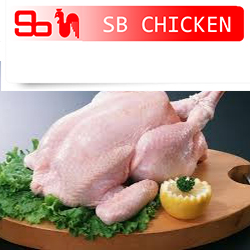 SB Chicken
